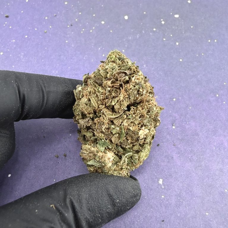 B02 Diesel