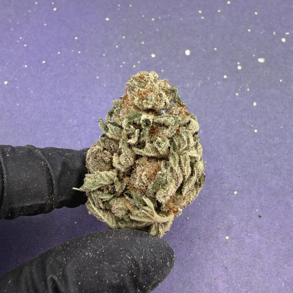 B17 Sugar Rum Haze
