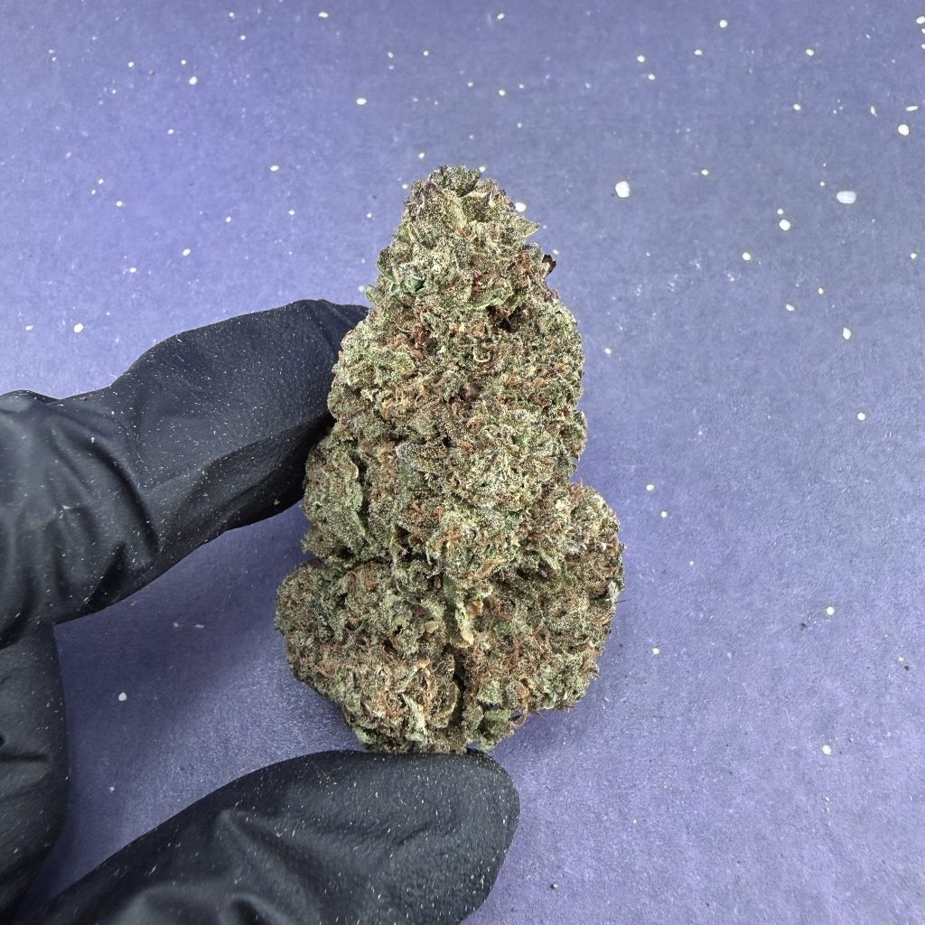 B24 Banana Pie
