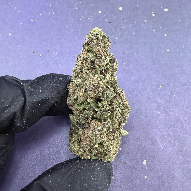 B03 Zkittlezz