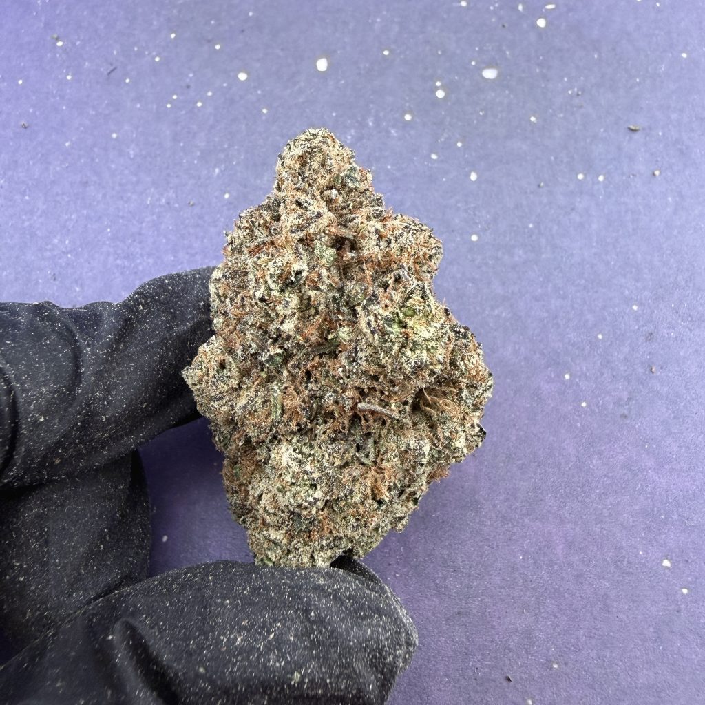 B41 Sugar Blossom