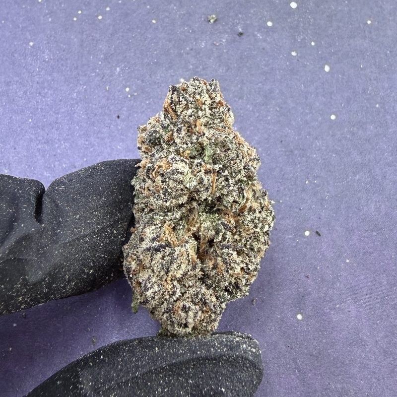 B71 Cotton Candy