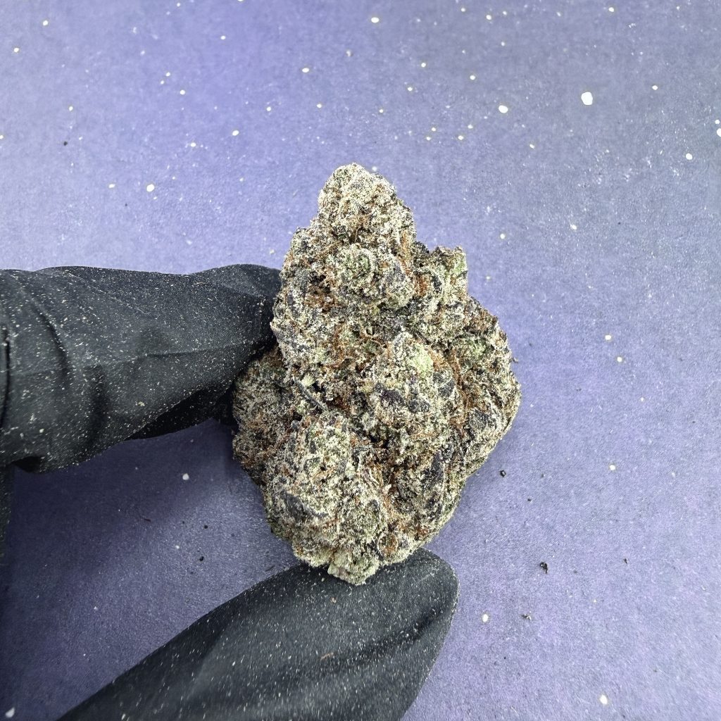 B79 Pink Zlushie